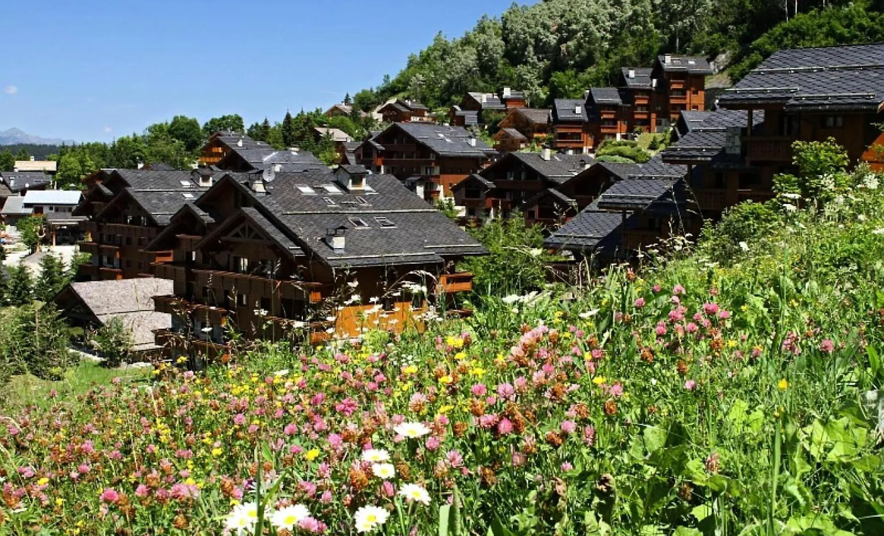 Residence Les Fermes De Meribel - Maeva Home - Appartement 3 Pieces 6 Personnes - Selection Mae-7404 Les Allues Apartment